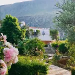 Villa Delle Rose