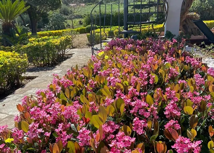 Delle Rose 别墅